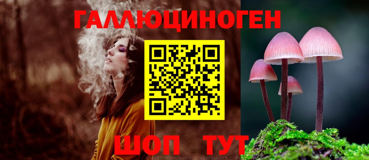 Псилоцибиновые грибы GOLDEN TEACHER Новочеркасск